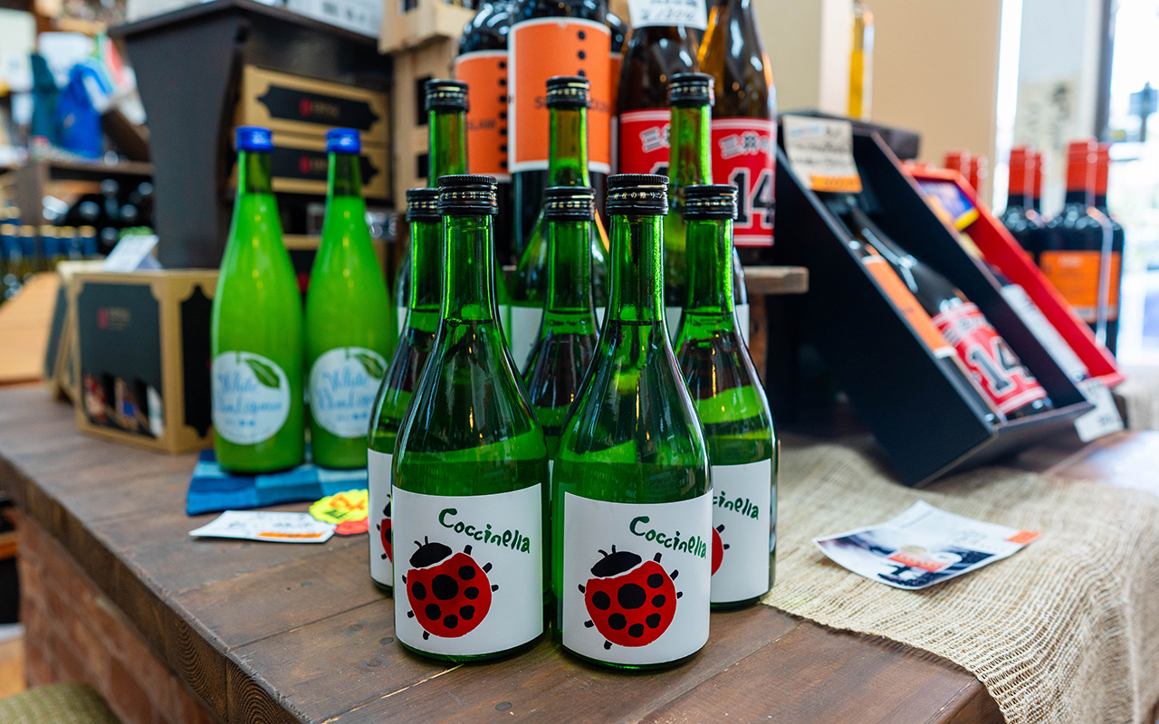 夏限定のてんとう虫ラベル！純米酒「コチネレ」入荷しました